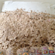 Illustration for article titled Winchester woman finds 3ft wasp on bed.